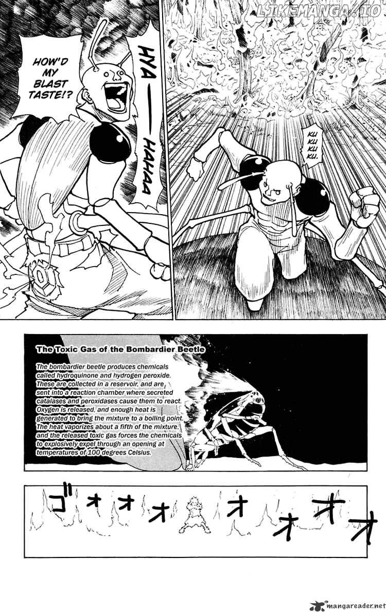 Hunter x Hunter, Chapter 236 image 11